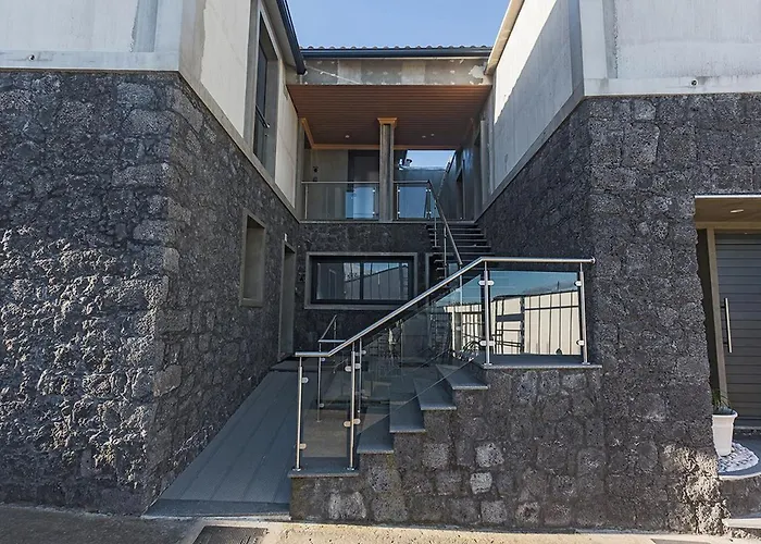 Os Ninhos Dos Avos *